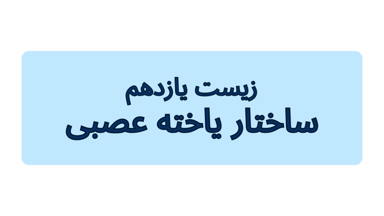 زیست یازدهم | فصل ۱: تنظیم عصبی (صفحه ۲) — ساختار یاخته عصبی یا نورون‌