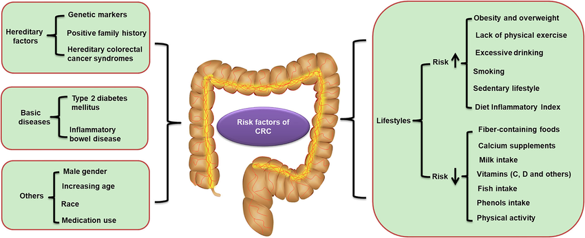 عوامل خطر سرطان روده بزرگ: عوامل ژنتیکی و محیطی